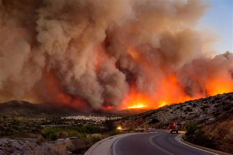 Mallorca Wilds Blaze